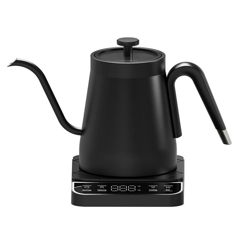 110v 220v 스테인레스 스틸 전기 주전자 단열 커 - Electric Kettle Gooseneck 리뷰 및 가격
