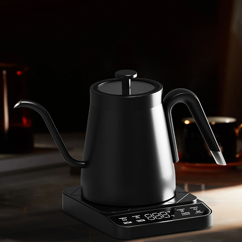 110v 220v 스테인레스 스틸 전기 주전자 단열 커 - Electric Kettle Gooseneck 리뷰 및 가격